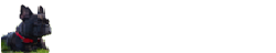logo bottom